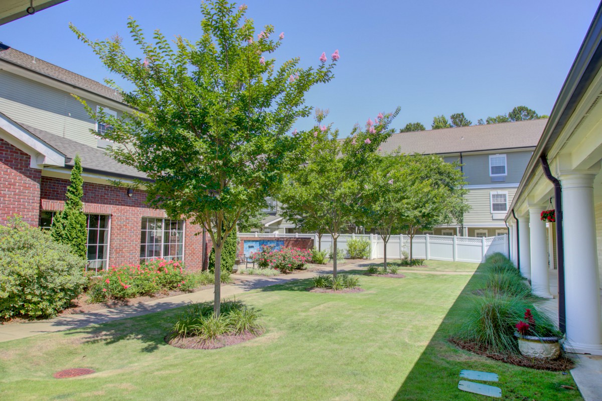A sunny yard with trees, grass, and surrounding buildings.