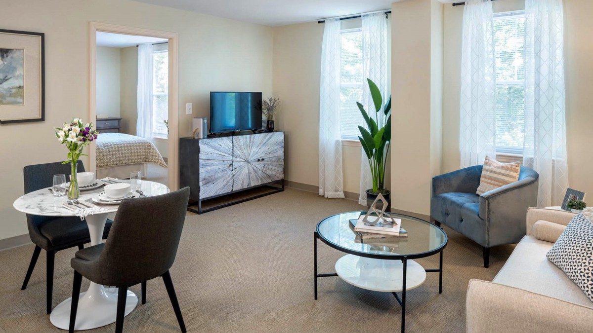 A modern living room with a television, stylish coffee table, armchair, and houseplant in a bright space.