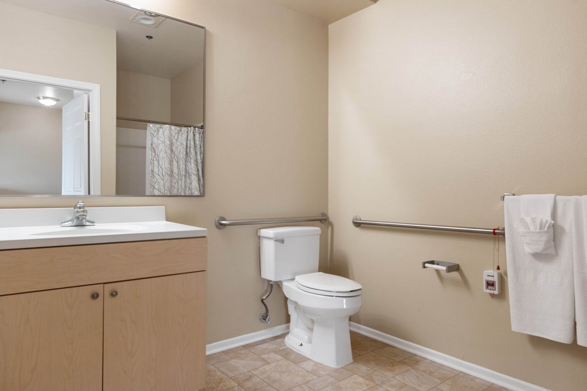 An accessible bathroom featuring a toilet, sink with mirror, and shower area with grab bars.