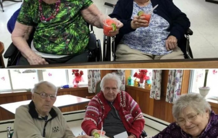 Absolut Ctr For Nursing & Rehab Allegany