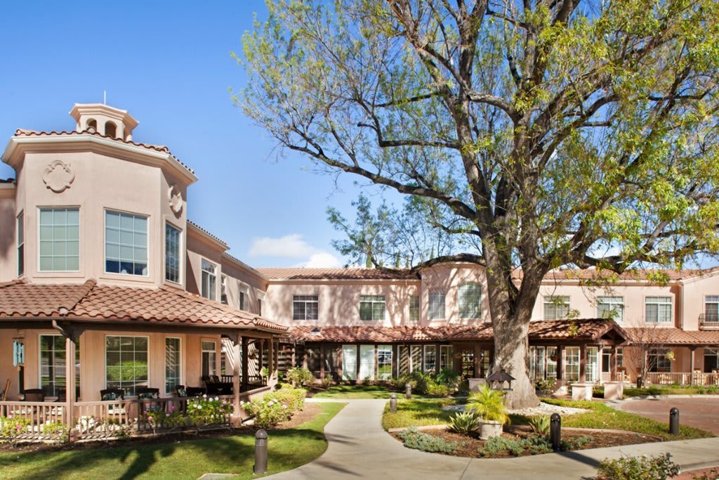 A sunny courtyard with a large tree in front of a residential building.