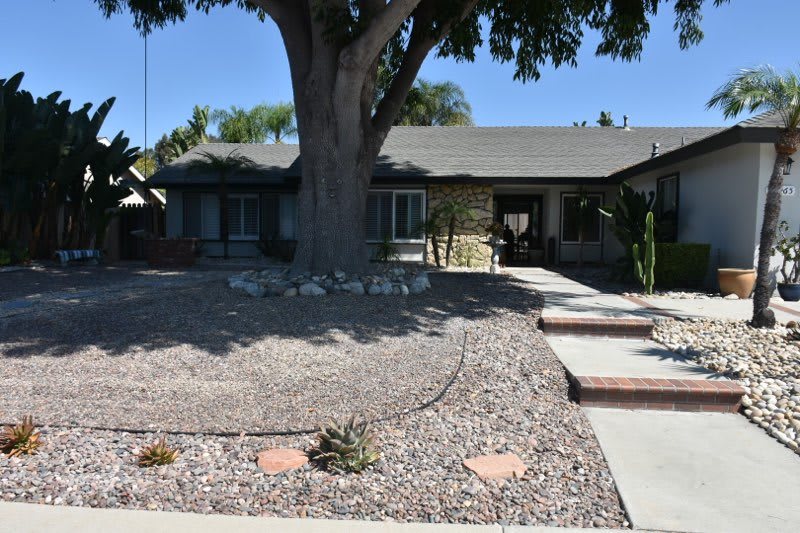 A single-story house with a xeriscaped front yard and a large tree.