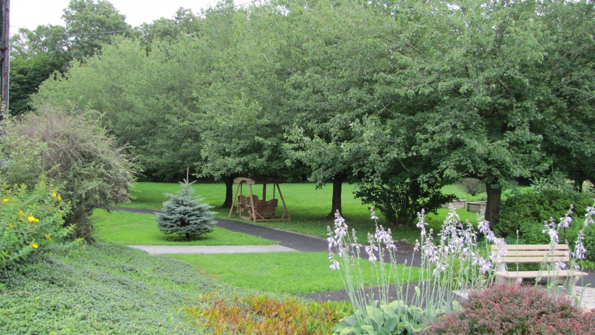 A tranquil park scene featuring lush green grass, a pathway, and a swing set nestled among the trees.