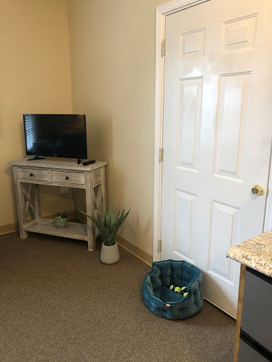 A small, cozy room featuring a television on a wooden stand, a potted plant, and a door.