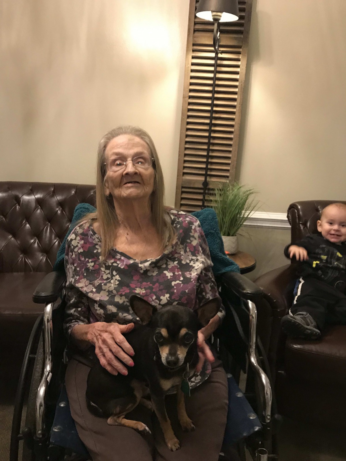 An elderly woman in a wheelchair holding a small dog, with a baby seated nearby in a living room setting.