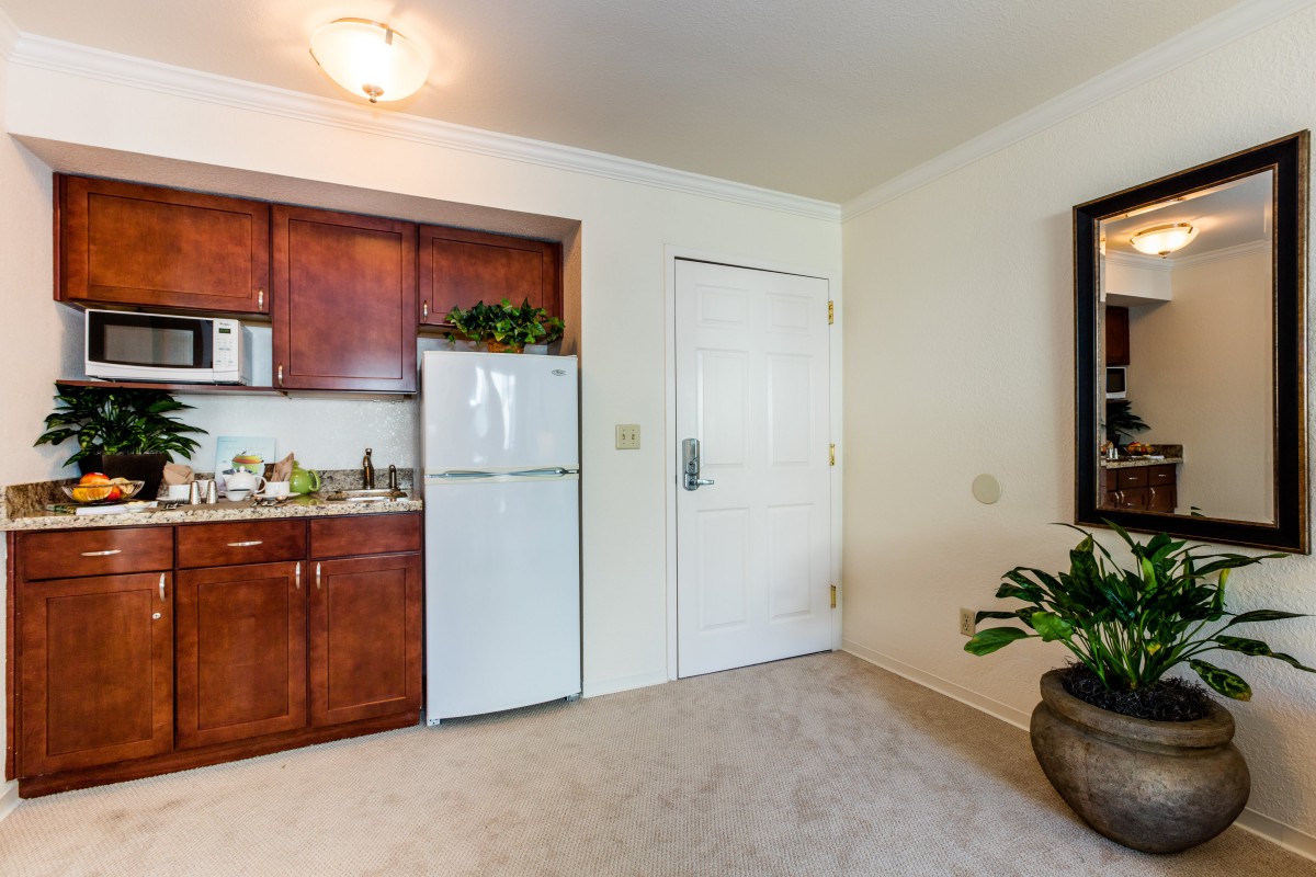 A small kitchenette with wooden cabinets and a white refrigerator, decorated with a plant in the corner.