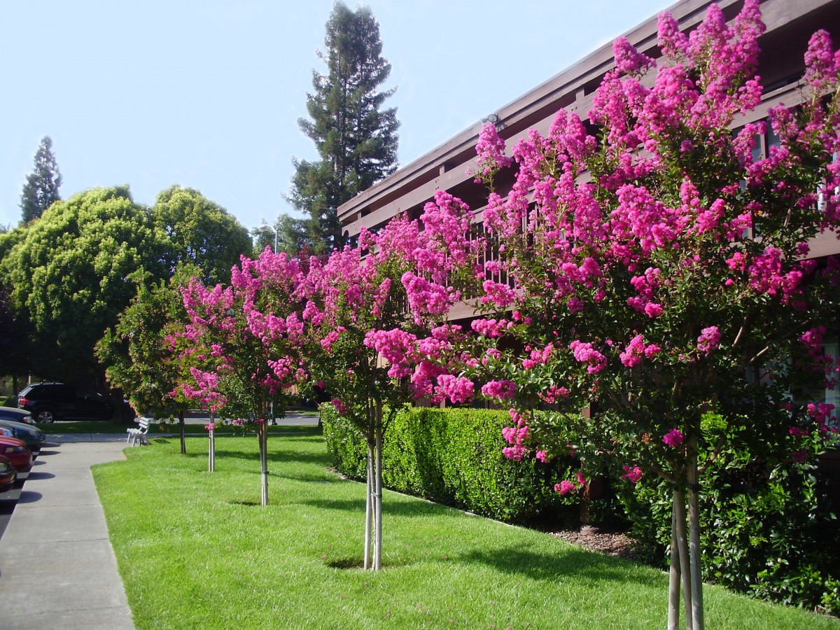 Silverado Orchards Retirement Community