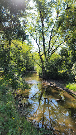 A serene view of a river surrounded by lush trees, reflecting the vibrant greens of nature.