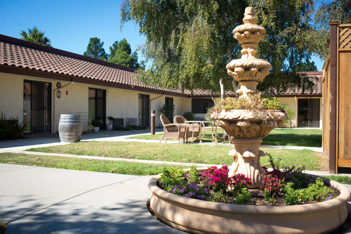A serene courtyard with a decorative fountain surrounded by greenery and flowers.
