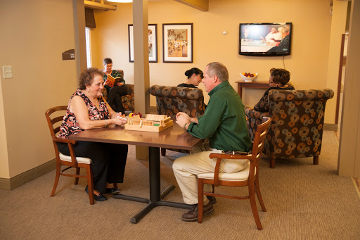 Two seniors enjoying a game together in a cozy indoor setting.