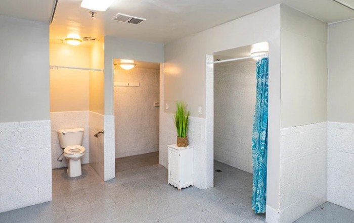 A spacious bathroom with a shower area and toilet, featuring bright lighting and a decorative plant.