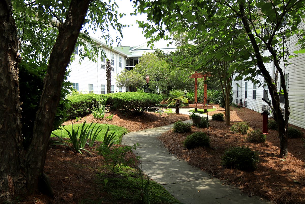 A serene garden with a winding pathway and benches surrounded by lush greenery.