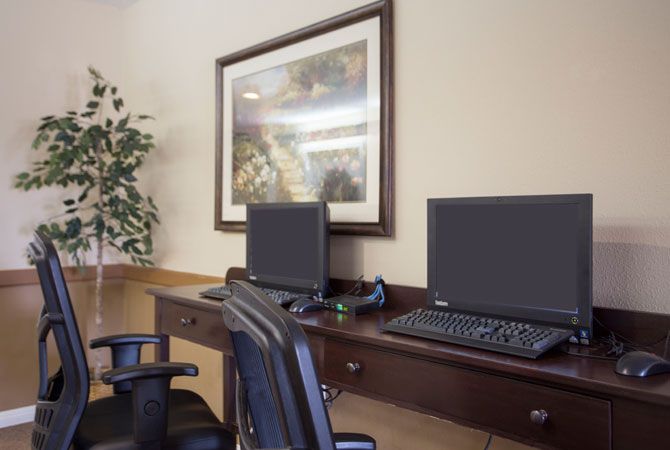 A tidy office workspace with computers and chairs, featuring a framed painting and a plant.