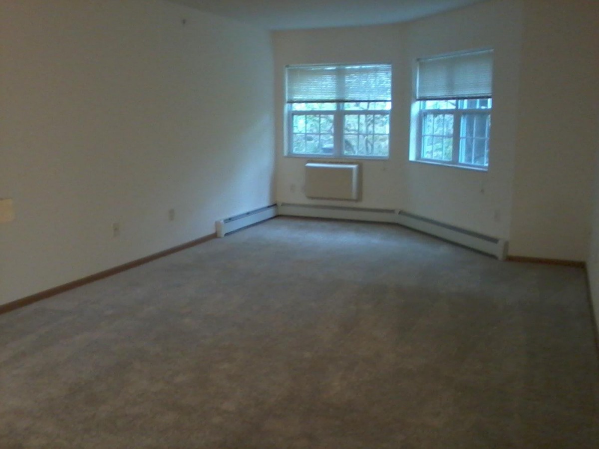 A vacant room with a carpeted floor and large windows letting in natural light.