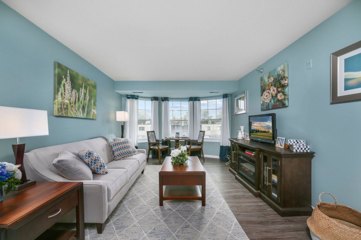 A cozy living room with blue walls, featuring a comfortable sofa, coffee table, and TV stand. The space is well-lit by large windows with curtains and decorated with artwork.