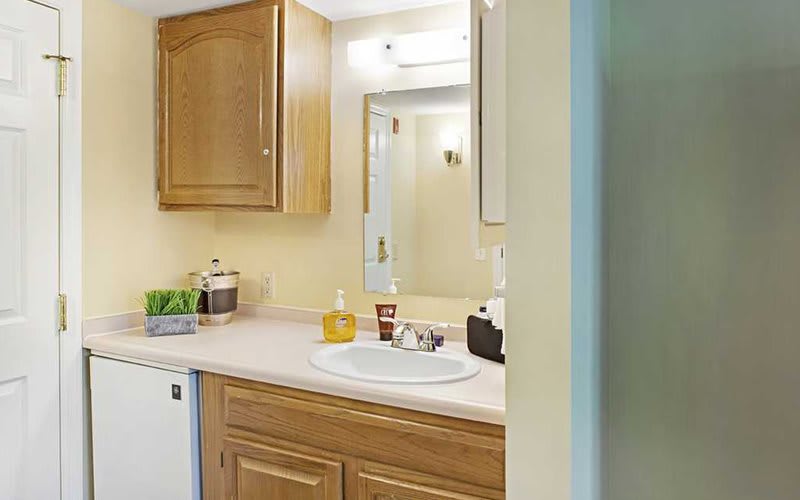 A bathroom vanity with a sink, mirror, and wooden cabinets.