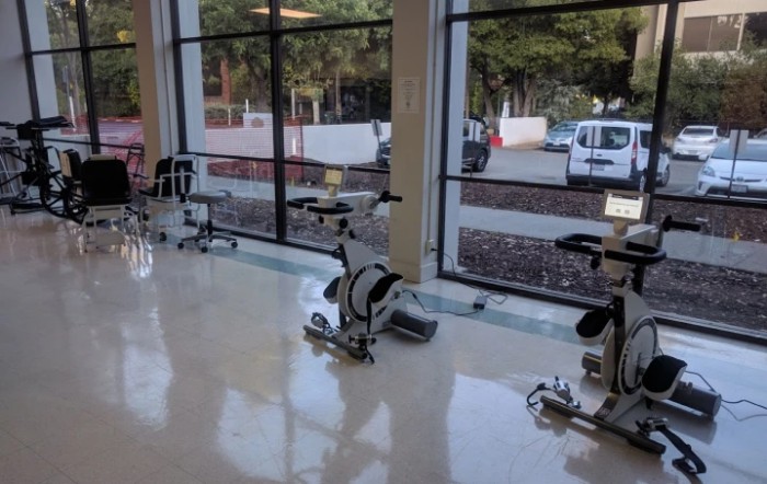 A gym room with several exercise bikes positioned near large windows.