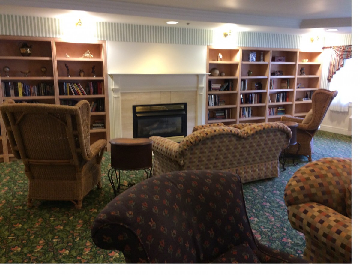 A cozy living room with a fireplace, surrounded by bookshelves and comfortable seating.