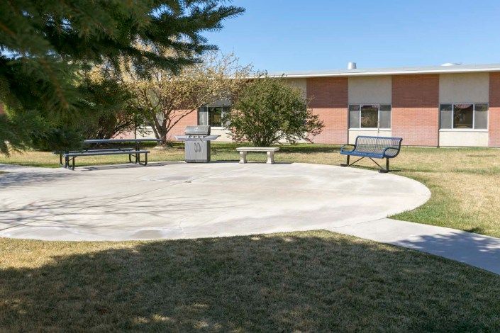 A sunny outdoor area featuring benches, a trash can, and trees near a building.