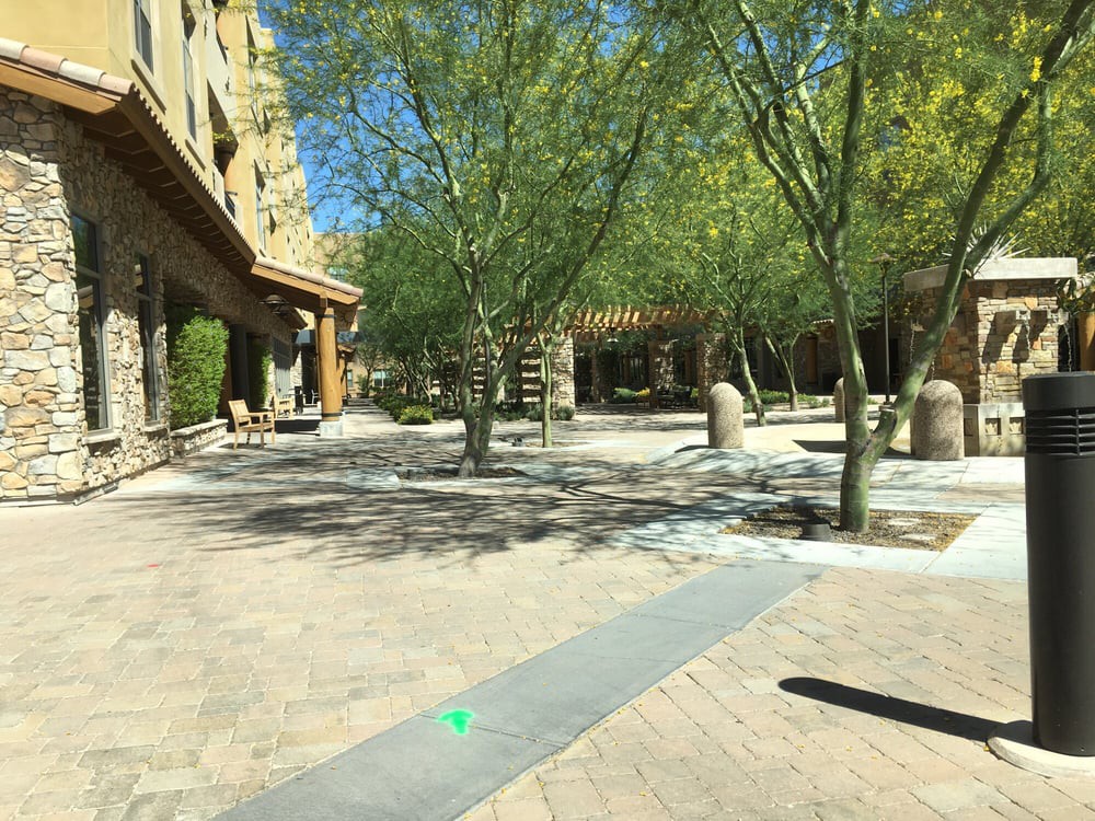 A sunny courtyard with trees and paved walkways.