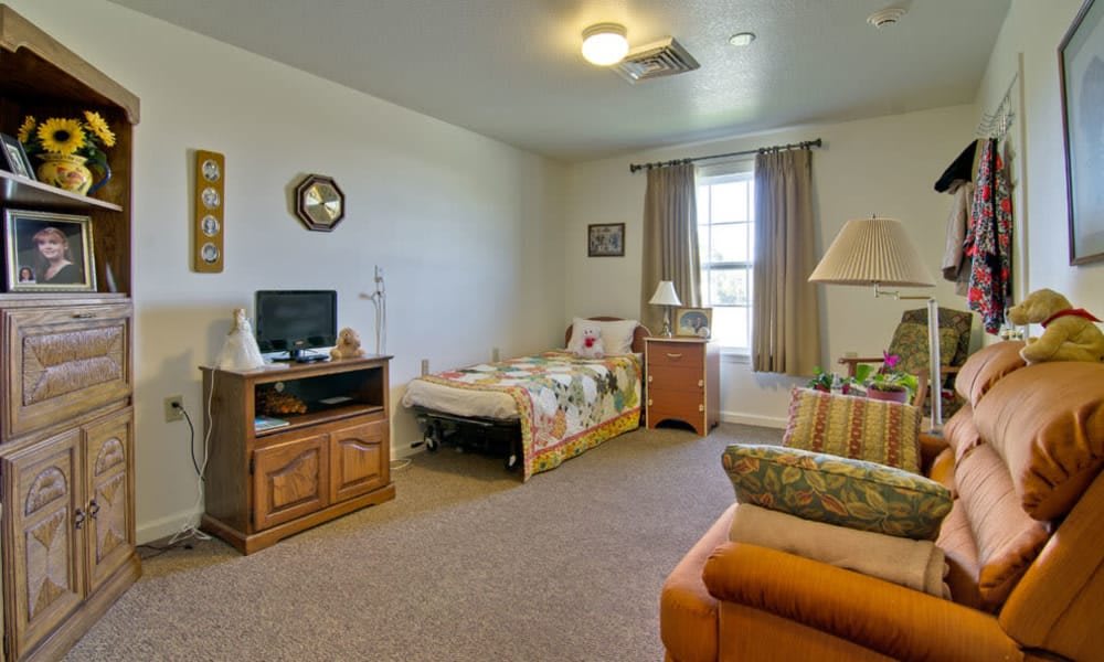 A cozy living space featuring a bed, television, sofa, and a window with curtains.