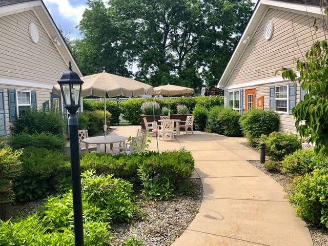 A serene patio area with outdoor seating and umbrellas surrounded by lush greenery.