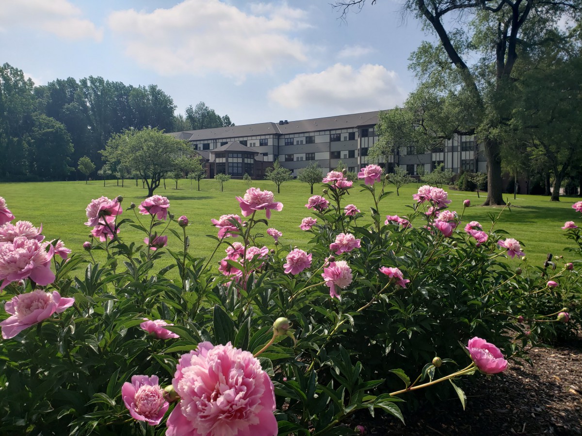 A scenic view of a garden with pink flowers in the foreground and a building in the distance under a blue sky.