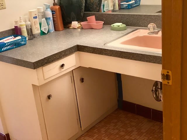 A bathroom counter with a sink, toiletries, and cleaning products neatly arranged.