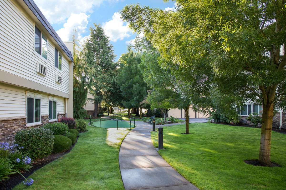 A peaceful residential pathway surrounded by lush greenery and trees on a sunny day.