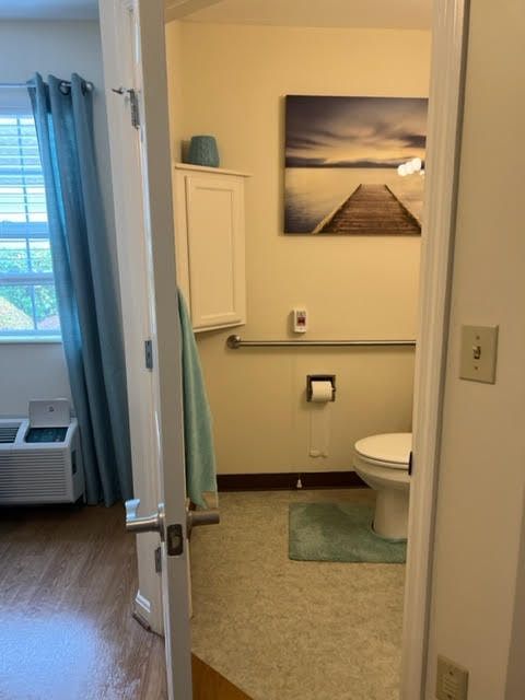 A clean and tidy bathroom featuring a toilet, artwork on the wall, and blue curtains.