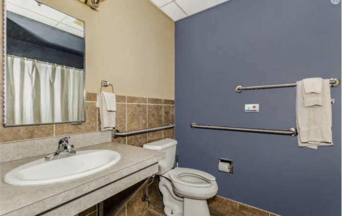 A handicap accessible bathroom with a toilet, sink, mirror, and grab bars.