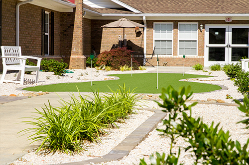 A well-maintained garden featuring lush green plants and a neatly arranged landscape.