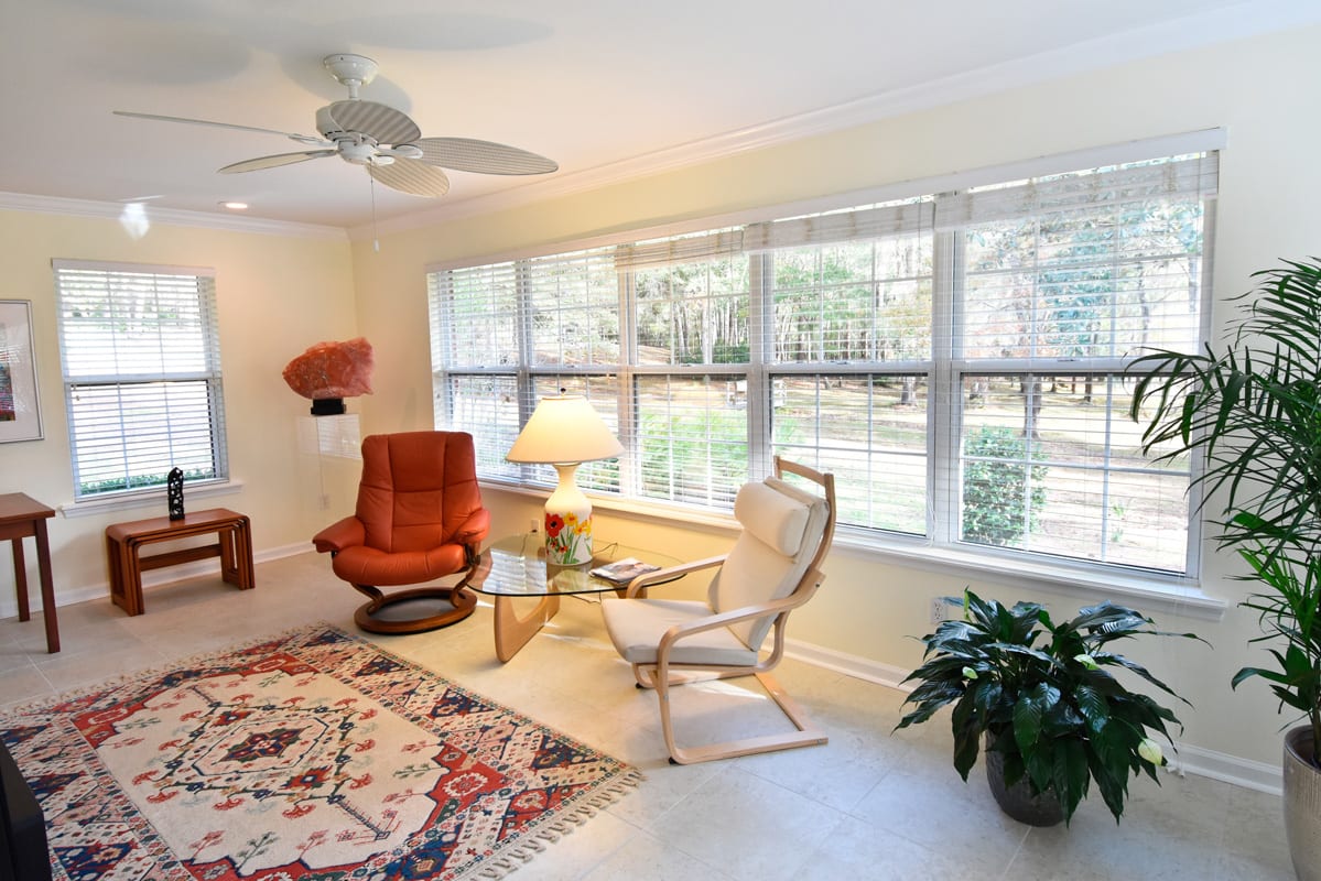A bright living room with large windows, featuring comfortable armchairs, a stylish carpet, and an indoor plant.