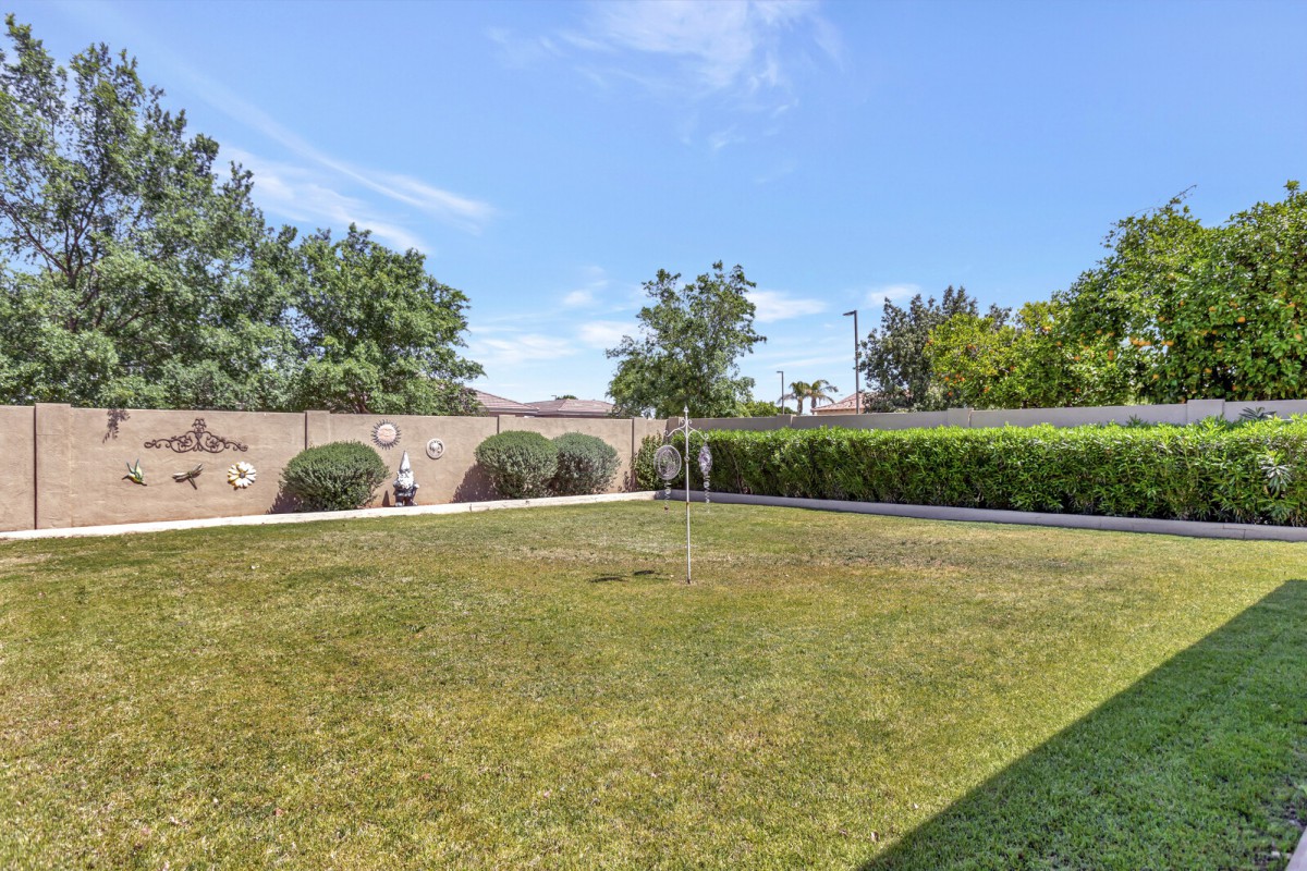 A sunny backyard with a green lawn, surrounded by a fence and trees.