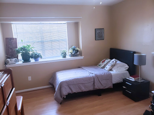 A cozy and well-lit bedroom featuring a bed, plants by the window, and simple furniture.