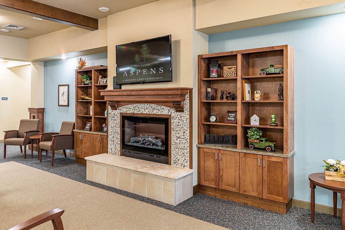 A modern living room featuring a fireplace, flanked by wooden bookshelves and a mounted television above.