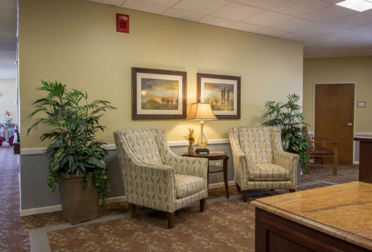Cozy waiting area with armchairs and decorative elements.