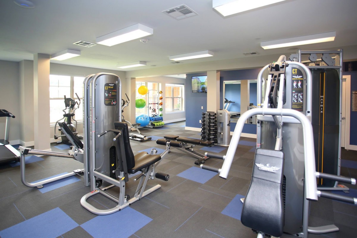 A modern gym with various exercise machines and equipment for a complete workout.
