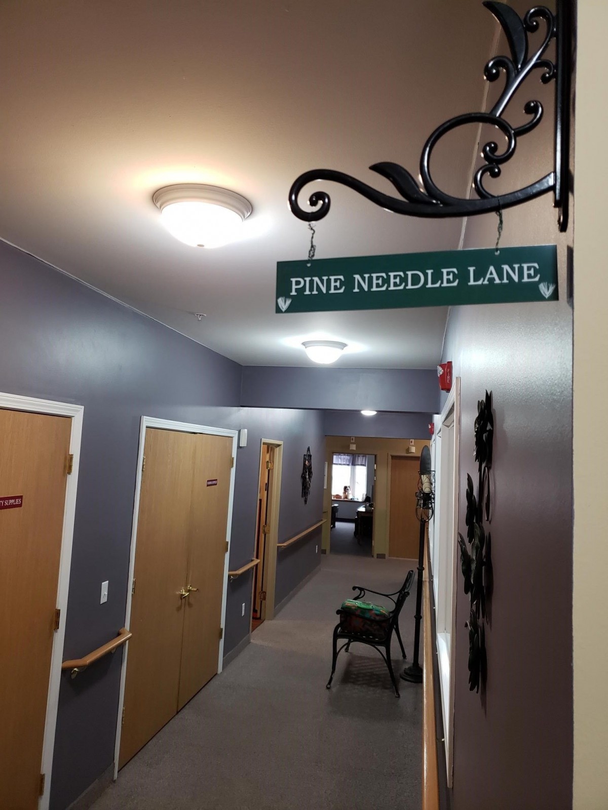 The Pines Of Lapeer