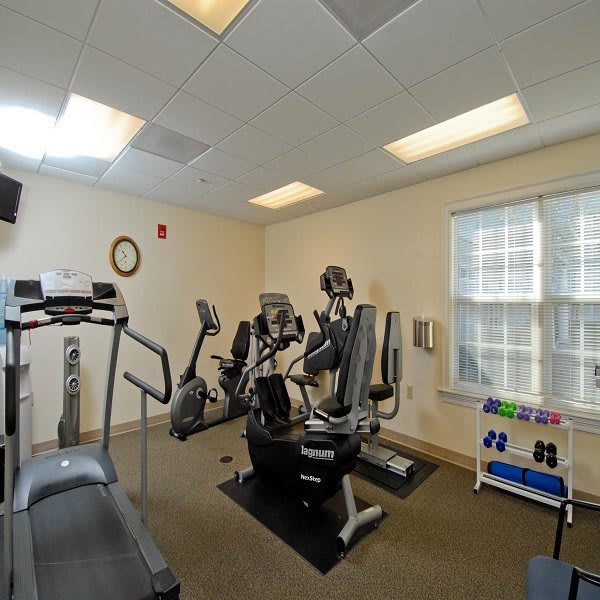 A well-equipped gym with various fitness machines and weights.