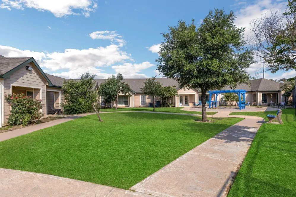 A sunny courtyard with green grass, trees, and surrounding buildings.