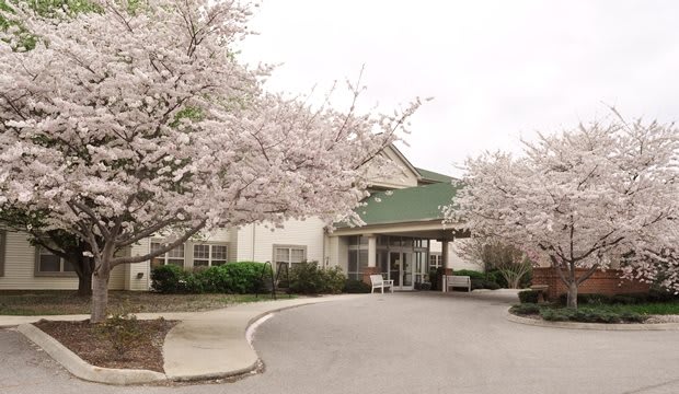 A building entrance surrounded by blooming cherry blossoms in spring.
