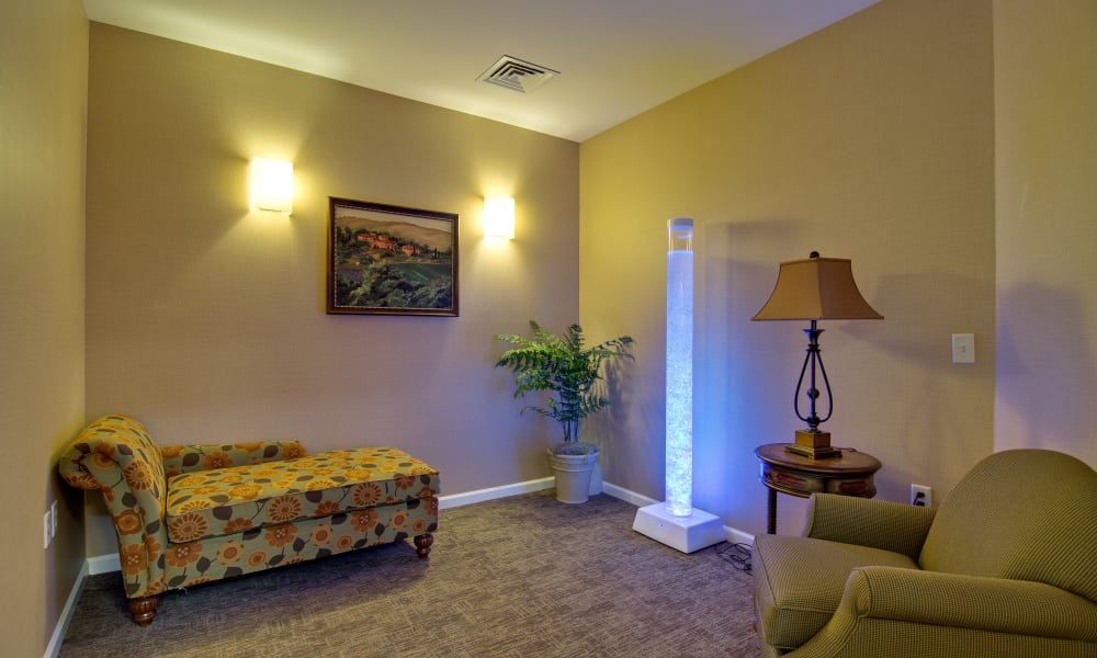 A cozy room with a sofa, lamp, potted plant, and wall-mounted artwork.