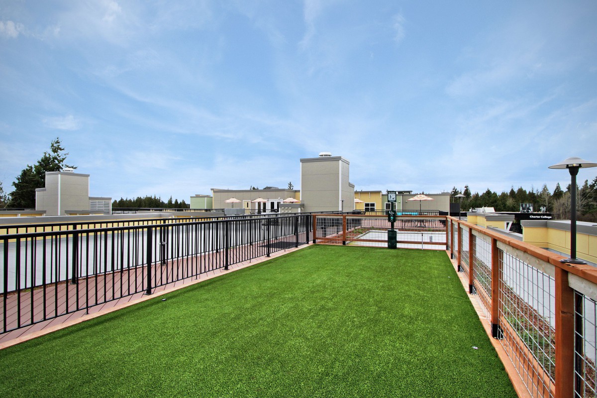 A rooftop area with artificial grass and railings overlooking the cityscape under a clear sky.