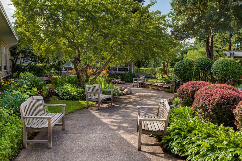 A tranquil garden with wooden benches and a paved pathway surrounded by lush greenery.