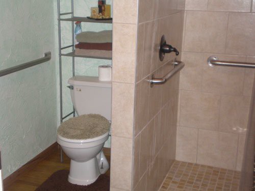 A bathroom featuring a toilet, shower area with grab bars, and a shelving unit.