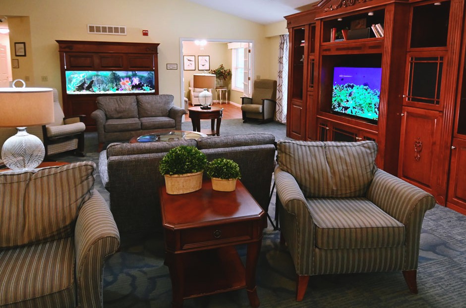 A cozy living room with sofas, armchairs, and two televisions, decorated with indoor plants.