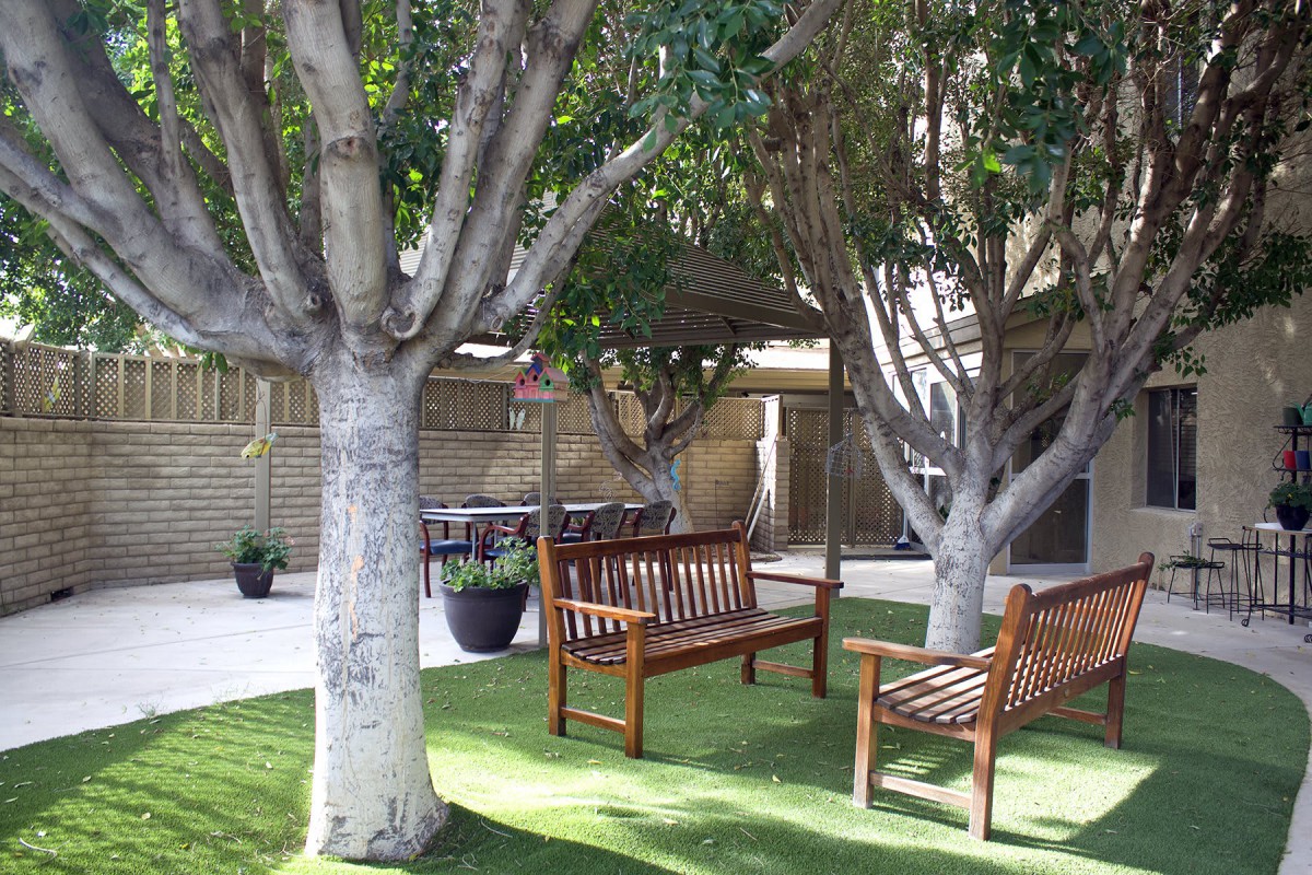 A tranquil garden with wooden benches under shady trees.
