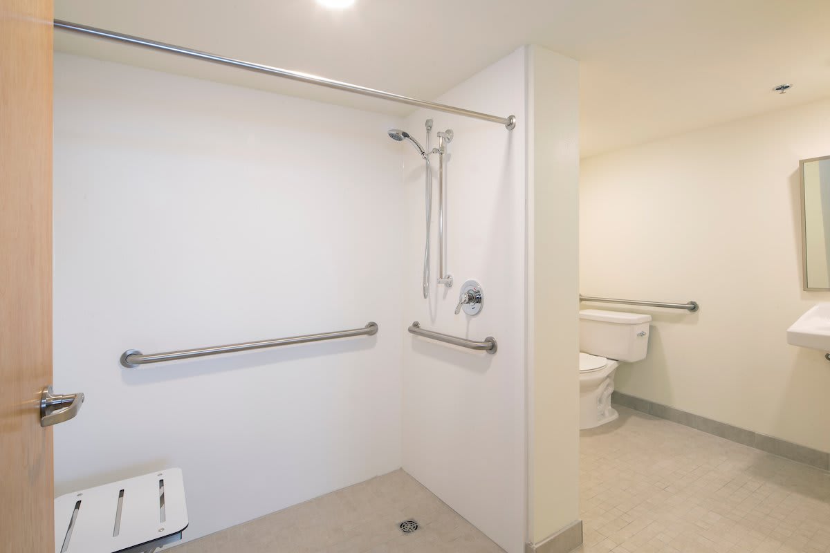 An accessible bathroom with grab bars next to the shower and toilet.