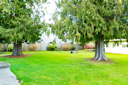A serene backyard with lush green grass and towering trees, perfect for relaxation.